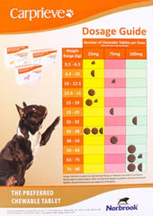Fridge Magnets Square Corners - Promotional Products