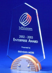 Steelarc Desk Awards - Promotional Products