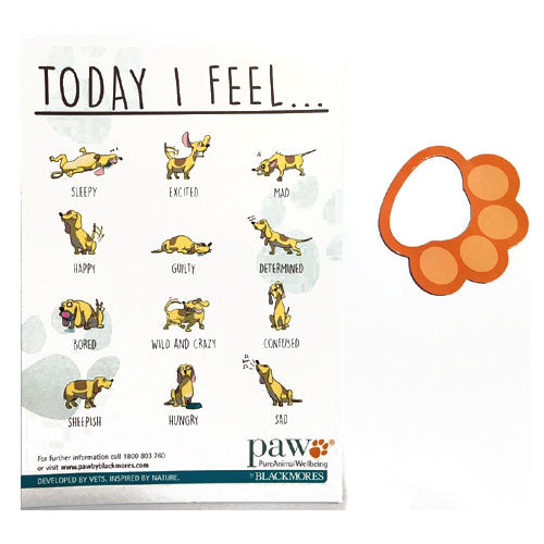 How I Feel Magnet - Promotional Products