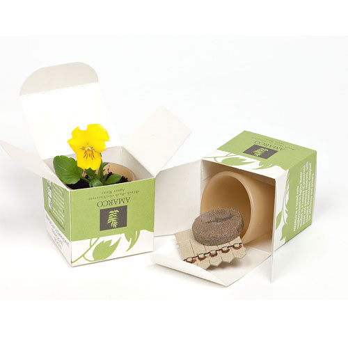 Seed Pot Box - Promotional Products