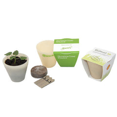 Seed Pot with Wrap - Promotional Products